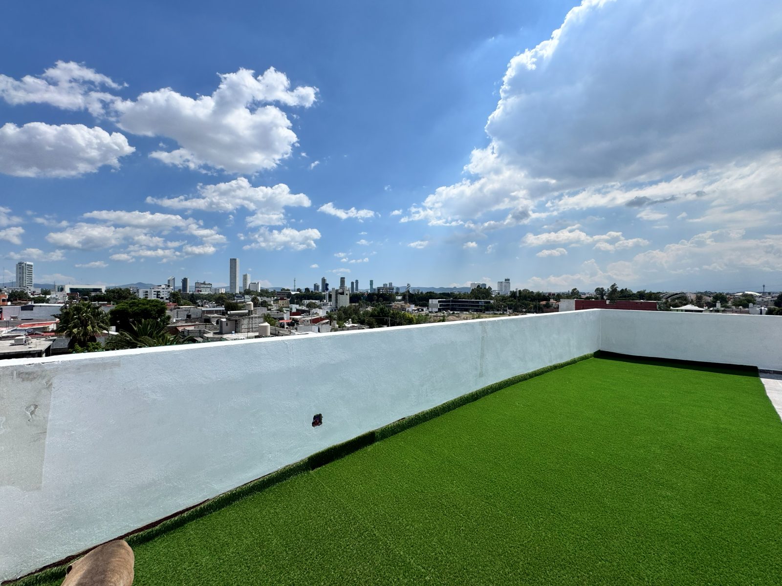 Roof Garden con vista al skyline